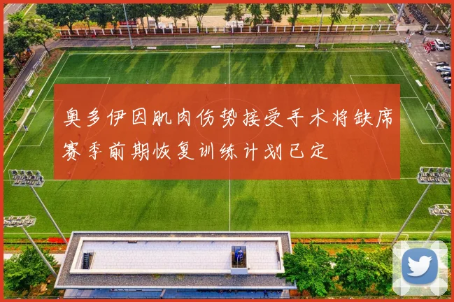 奥多伊因肌肉伤势接受手术将缺席赛季前期恢复训练计划已定
